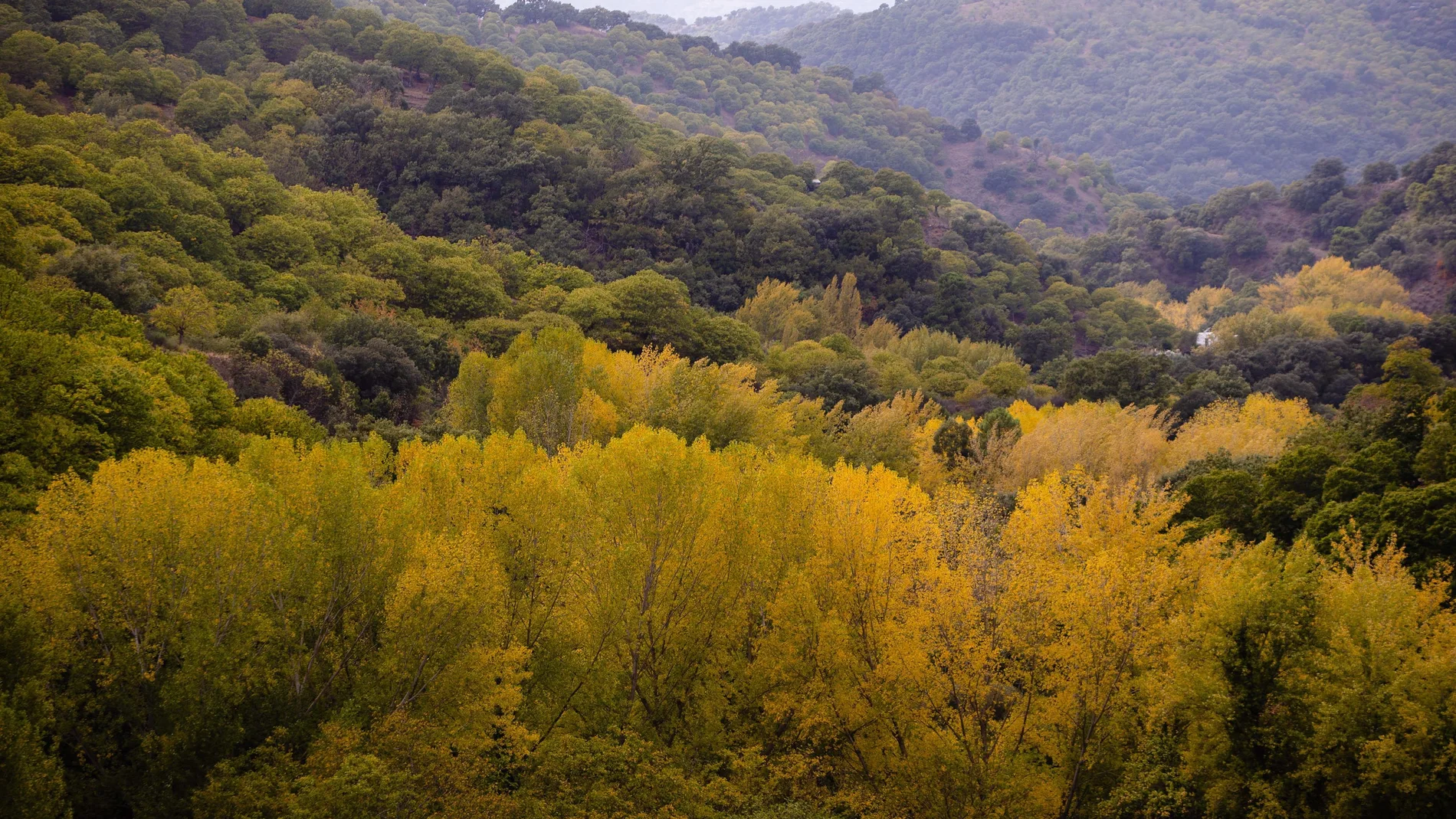 Este fin de semana habrá temperaturas agradables para pasear por el campo