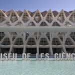 Museu de les CiènciesGVA (Foto de ARCHIVO)29/04/2020