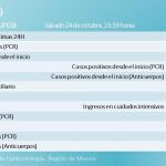 El número total de afectados desde el comienzo de la crisis del coronavirus se sitúa en 33.006 casos