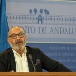 El portavoz parlamentario de Vox en Andalucía, Alejandro Hernández