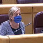 La presidenta del PP de Segovia y senadora, Paloma Sanz, durante su intervención en la Cámara Alta