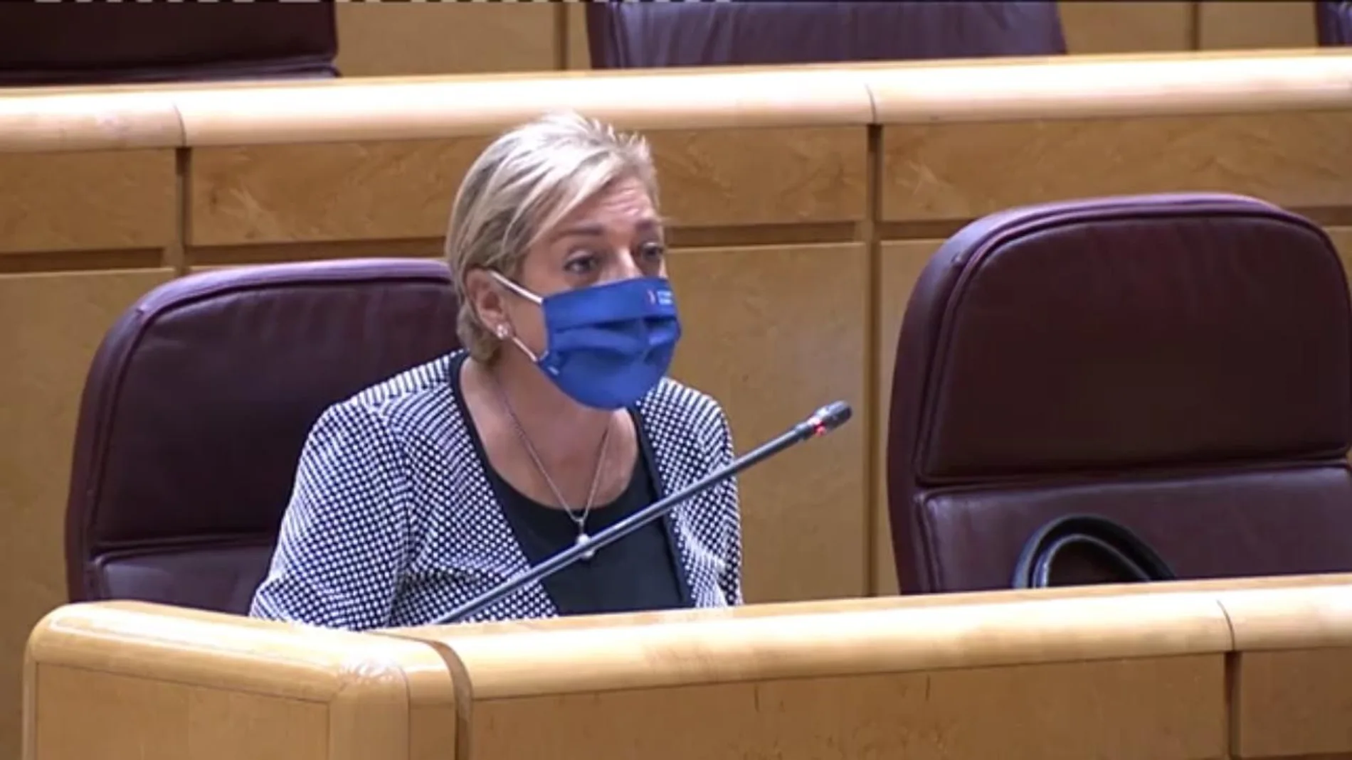La presidenta del PP de Segovia y senadora, Paloma Sanz, durante su intervención en la Cámara Alta