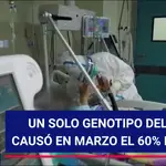 Un solo genotipo del coronavirus generó el 60% de los casos en España en la primera semana de marzo