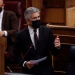 El ministro del Interior, Fernando Grande Marlaska, durante su intervención en la sesión de control al Ejecutivo