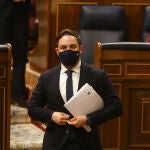 Santiago Abascal, presidente de Vox