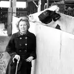 En la imagen, Margaret Thatcher con una vaca en la granja en 1980.
