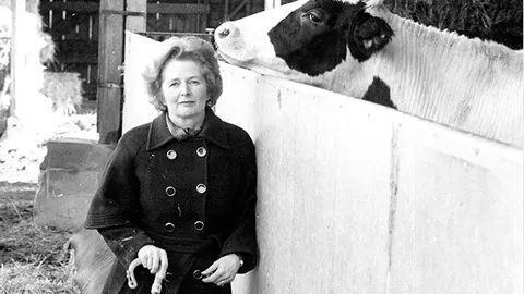 En la imagen, Margaret Thatcher con una vaca en la granja en 1980.