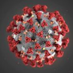 ¿Afectará a la eficacia de la vacuna la mutación del coronavirus descubierta en Europa?