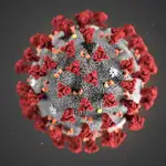¿Afectará a la eficacia de la vacuna la mutación del coronavirus descubierta en Europa?