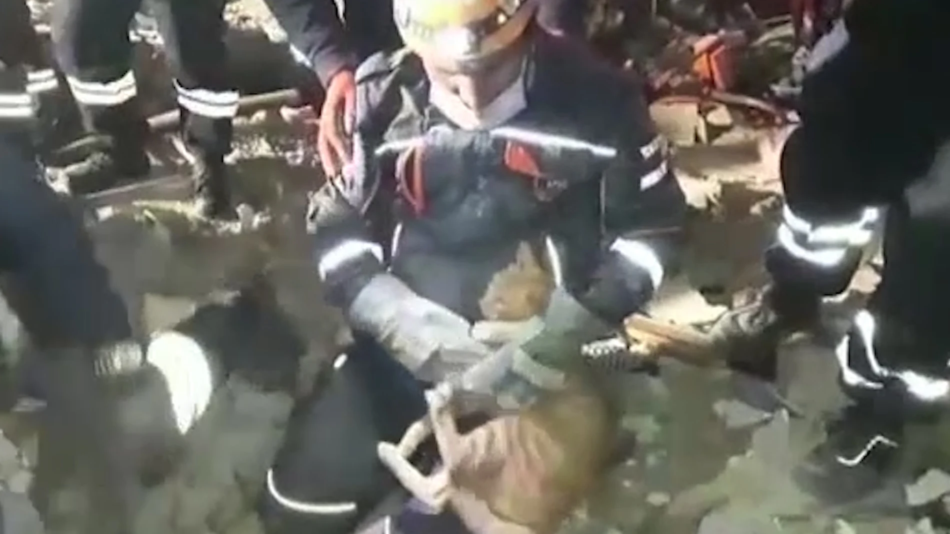 Aparatoso rescate de un gato atrapado bajo los escombros en Esmirna, Turquía