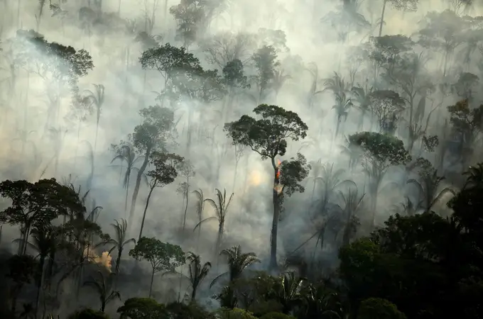 Saltan las alarmas en Brasil: vuelve a arder el Amazonas