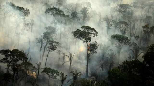 Ráfagas de humo durante un incendio en un área de la selva amazónica cerca de Porto Velho, estado de Rondonia, Brasil
