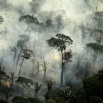 Ráfagas de humo durante un incendio en un área de la selva amazónica cerca de Porto Velho, estado de Rondonia, Brasil