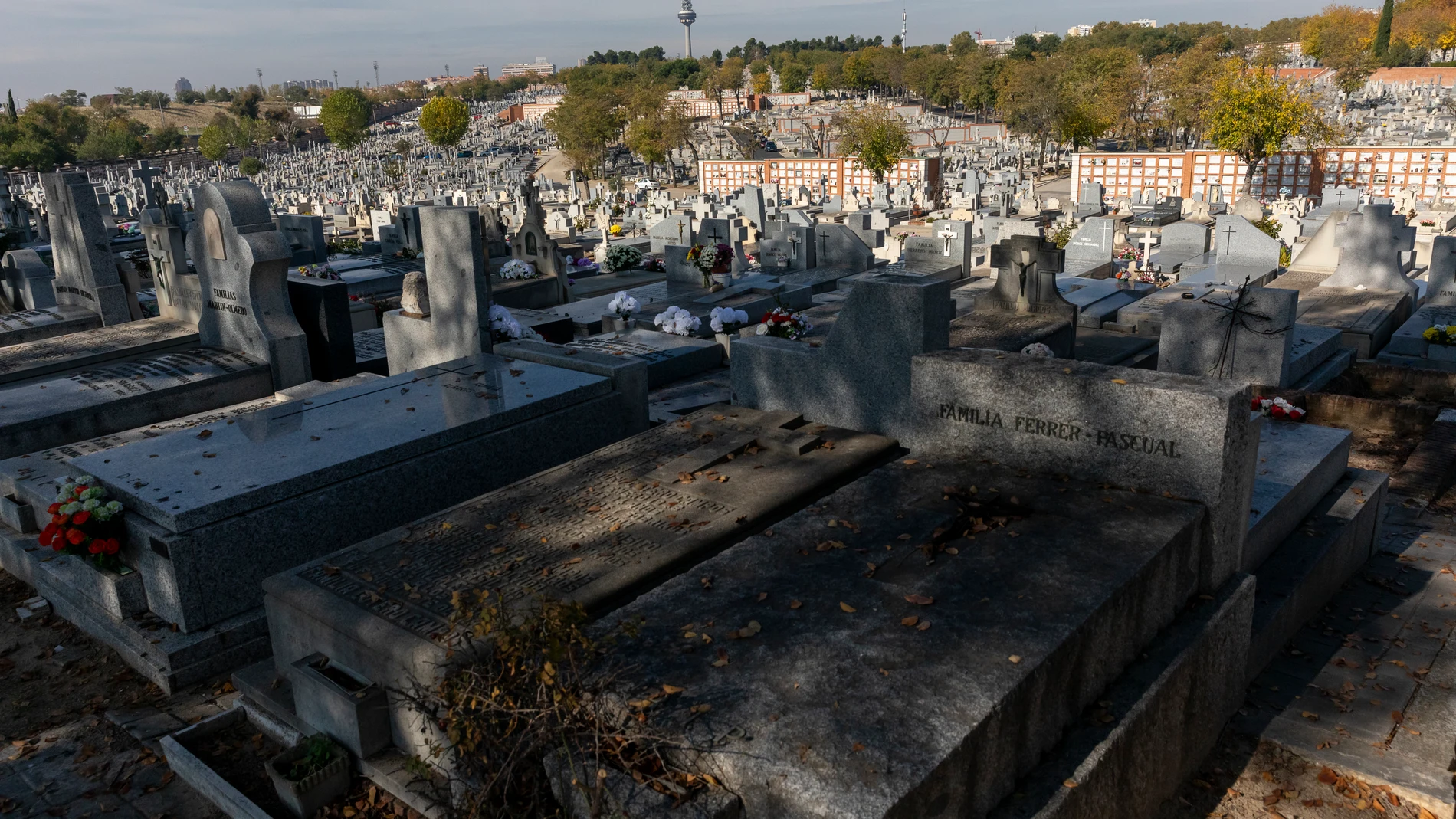 Prisión para un hombre que violó a una discapacitada en un cementerio de Murcia