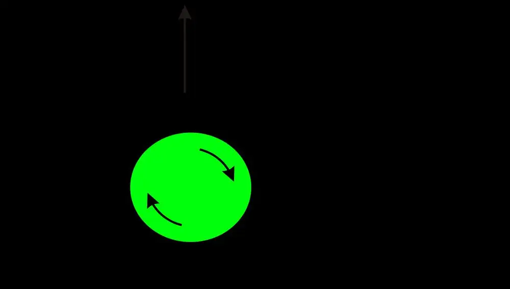 Representación esquemática de la fuerza producida por el efecto Magnus.