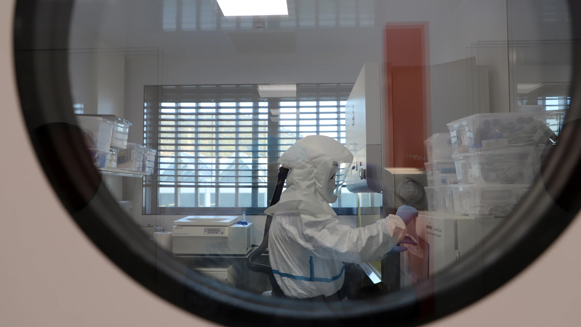 Investigadores de IrisCaixa trabajando en un estudio con organoides de pulmón y cerebro, miniórganos diseñados en el laboratorio, que permitirán simular una infección de Covid-19.