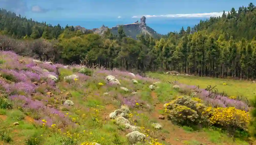 Gran Canaria, un paraíso al alcance de todos.
