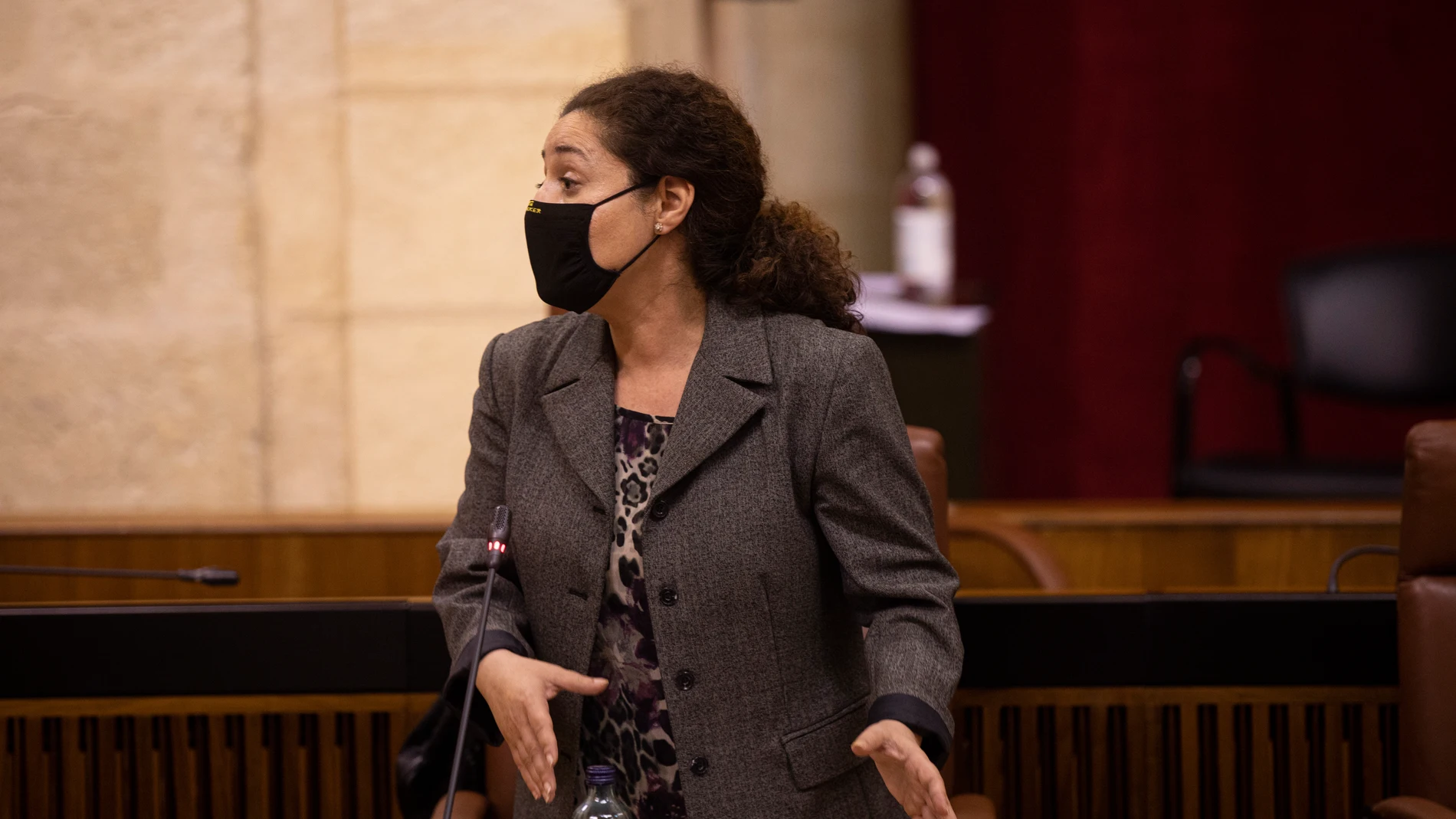 La portavoz parlamenta de Adelante Andalucía, Inmaculada Nieto, en una sesión de control al gobierno del Pleno del Parlamento de Andalucía