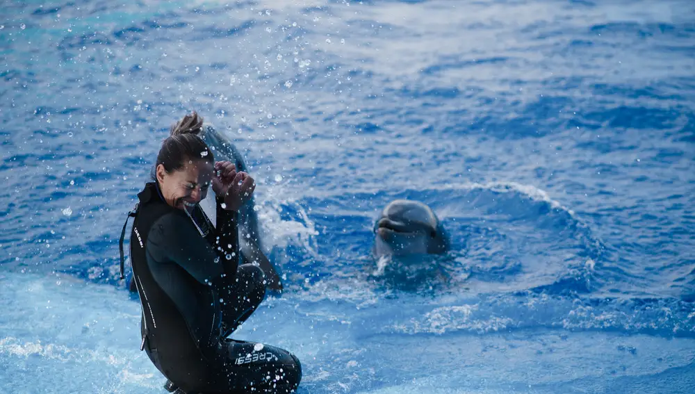 El Oceanogràfic ofrece un 20% de descuento de la entrada en noviembre