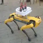 Perro robot en Sevilla