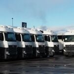 Flota de camiones de Transleyca.TRANSLEYCA.05/11/2020