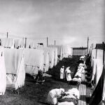 El virus de 1918 mató a entre 50 y 100 millones de personas en todo el mundo