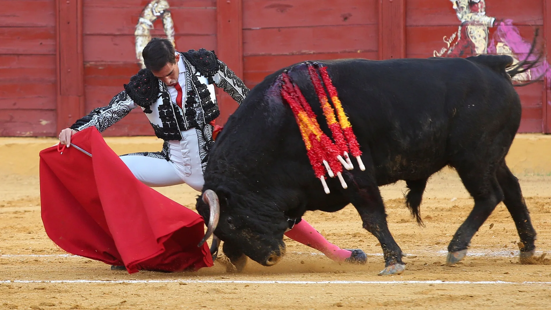 El diestro Jiménez Fortes, en el segundo toro de la corrida que se está celebrando en la Plaza de Toros de Estepona y en la que comparte cartel con Daniel Luque . EFE/Daniel Pérez