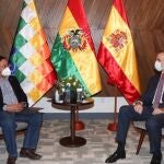 El presidente electo de Bolivia, Luis Arce, y El Rey de España, Felipe VI.CASA DE S.M. EL REY08/11/2020