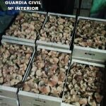 Níscalos recogidos ilegalmente en Castilla y León interceptados con destino a Madrid