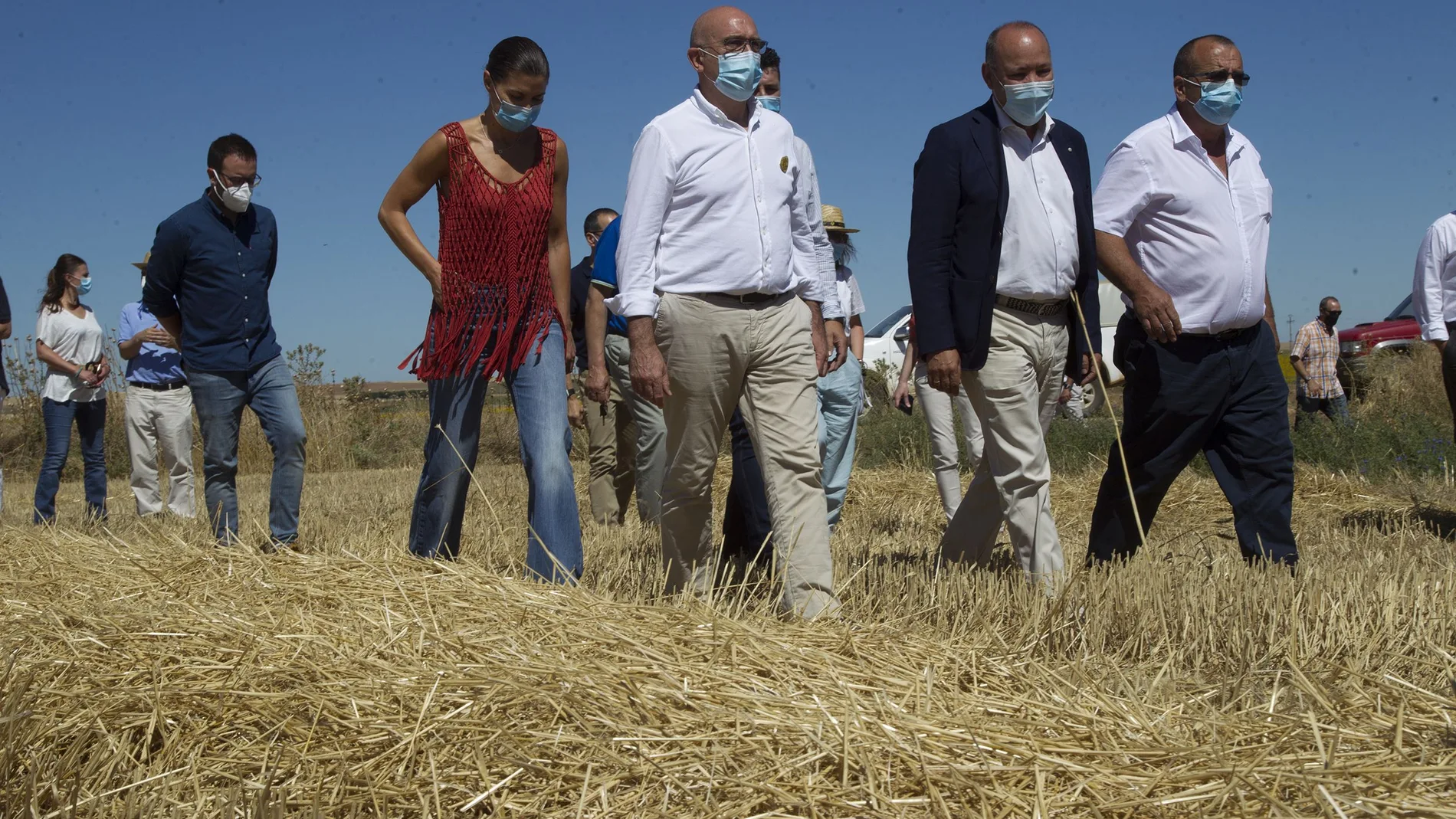 El consejero de Agricultura, Ganadería y Desarrollo Rural, Jesús Julio Carnero, visita una explotación de Zamora