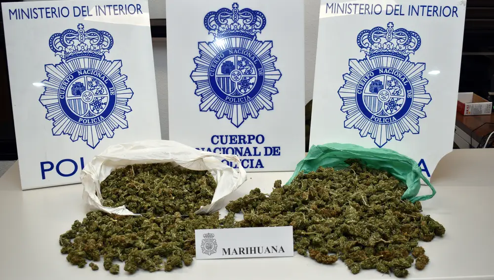 Material incautado por agentes de policía de Segovia