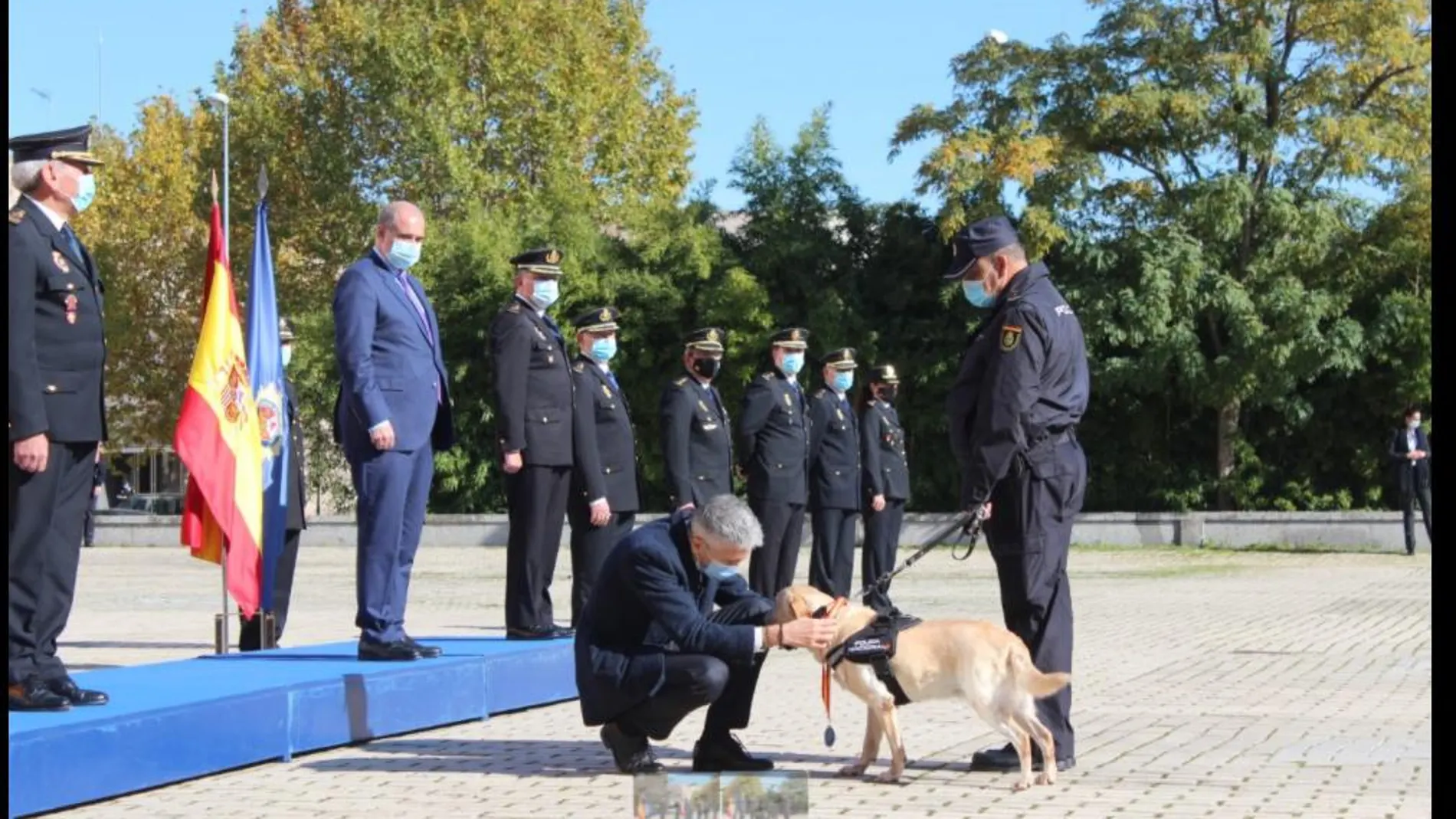 Marlaska condecora a uno de los perros