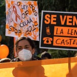 Marea naranja. La plataforma que agrupa a la concertada volvió a protestar ayer a las puertas del Congreso