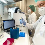 Primera PCR desarrollada por Ascires Sistemas Genómicos