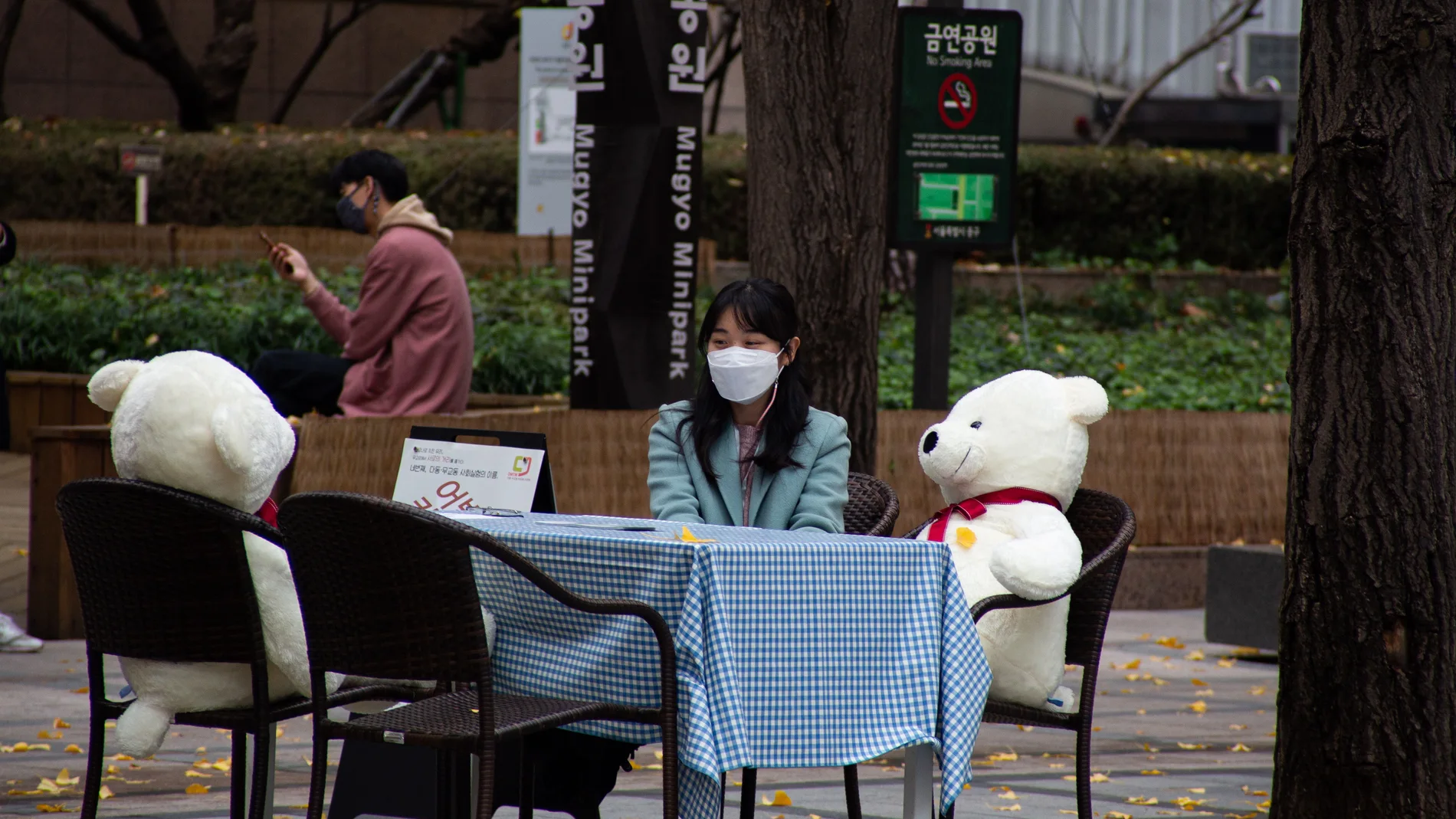 Peluches para mantener el distanciamiento social en un café en Seúl