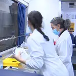 La vacuna de Janssen inicia la fase III en España