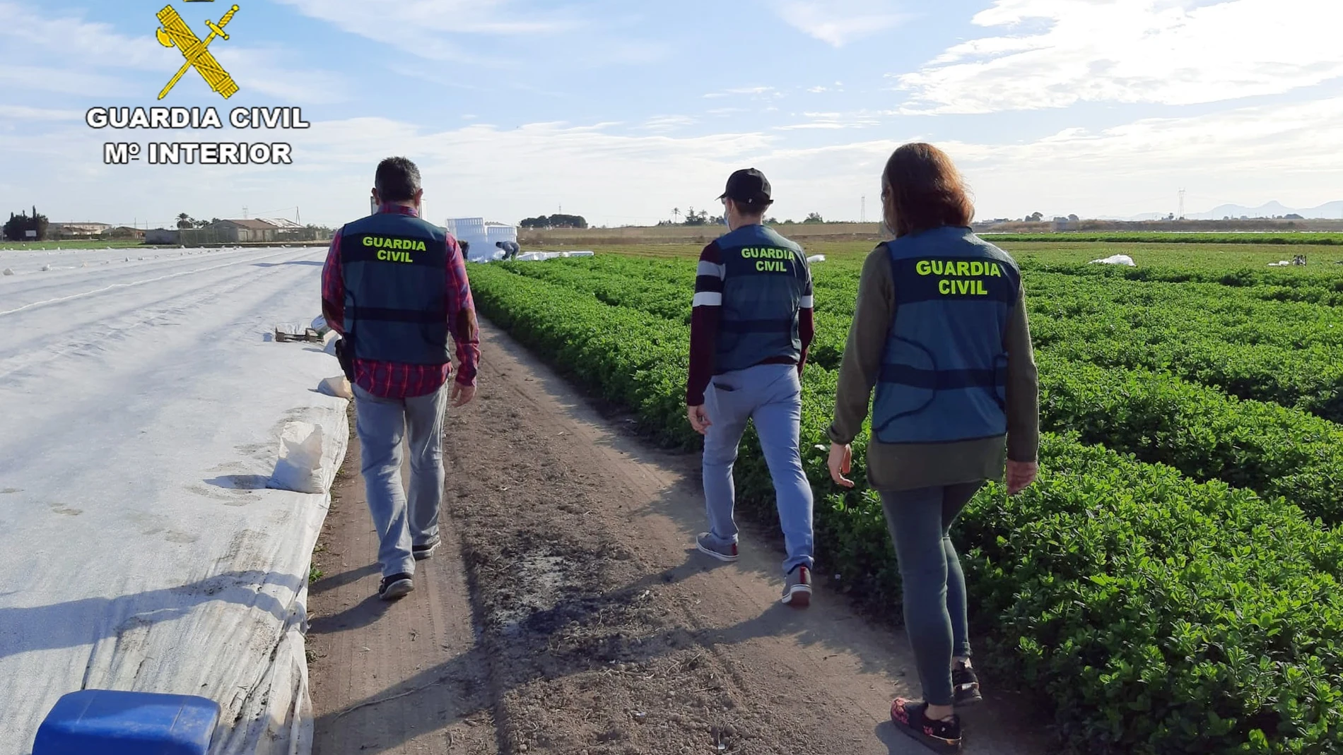 Imagen de la operación desarrollada por la Guardia Civil en el campo