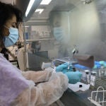 Una de las técnicos del laboratorio de microbiología del Marañón durante el proceso de inactivación del virus