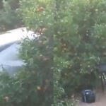 A la izquierda, el coche de la DGT escondido entre árboles para no ser visto. En la foto de la derecha, el radar sancionador