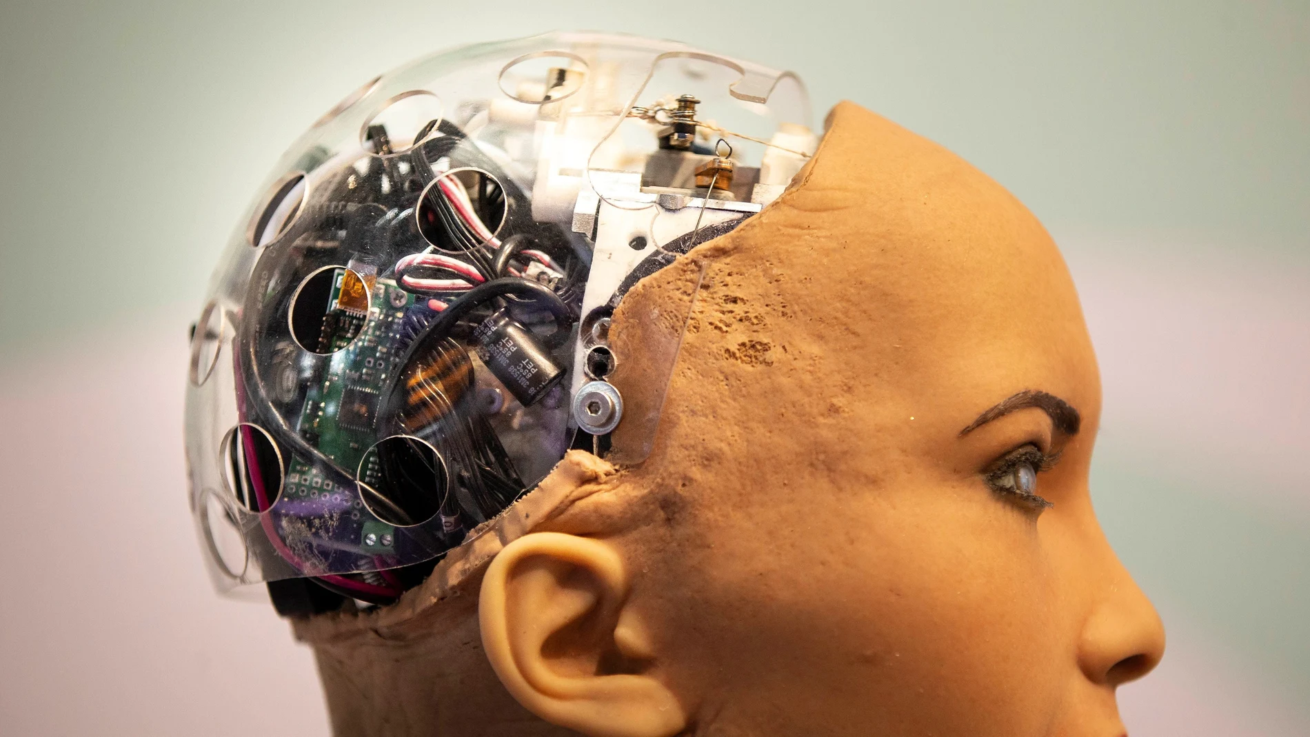 Detalle de la cabeza de la robot Sofía, una humanoide diseñada para mantener complejas conversaciones y puede expresar más de medio centenar de emociones.