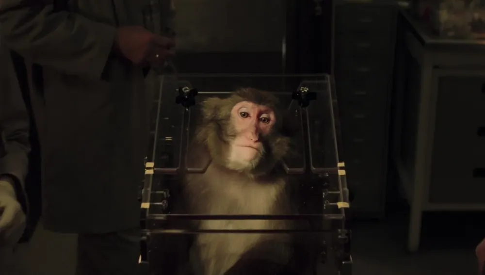 Darren, el macaco generado por ordenador para la película "La Fuente de la Vida"