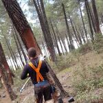 Un trabajador resinero en Taldercuende (Soria)