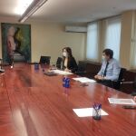 Los consejeros de Economía y Hacienda y de Empleo e Industria, Carlos Fernández Carriedo y Ana Carlota Amigo, se reúnen con la Mesa de la Automoción de forma telemática