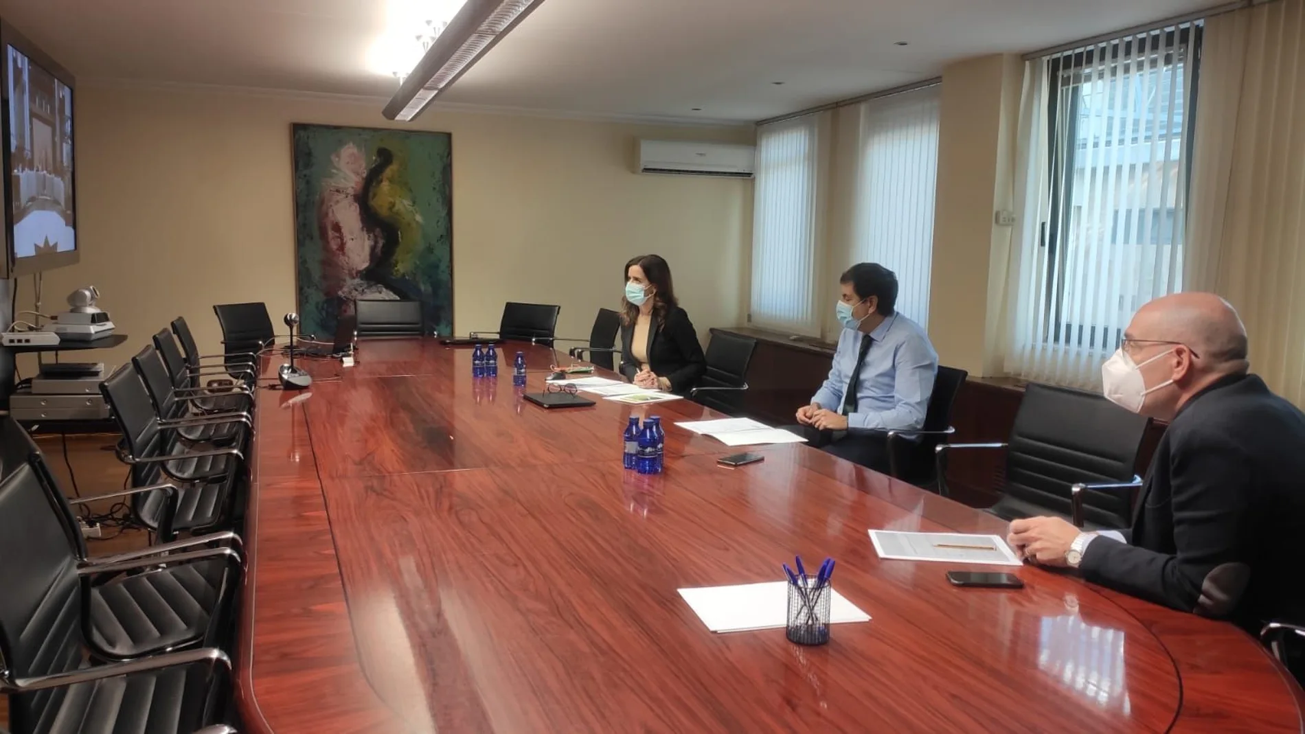 Los consejeros de Economía y Hacienda y de Empleo e Industria, Carlos Fernández Carriedo y Ana Carlota Amigo, se reúnen con la Mesa de la Automoción de forma telemática