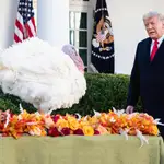 El presidente de EE UU, Donald J. Trump, perdona a Corn, el pavo nacional de Acción de Gracias, durante una ceremonia en la Casa Blanca, ayer