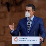El presidente del Gobierno, Pedro Sánchez, comparece ante los medios en el marco de la XIX Cumbre bilateral de España e Italia, celebrada este miércoles en el Palacio de la Almudaina en Palma de Mallorca