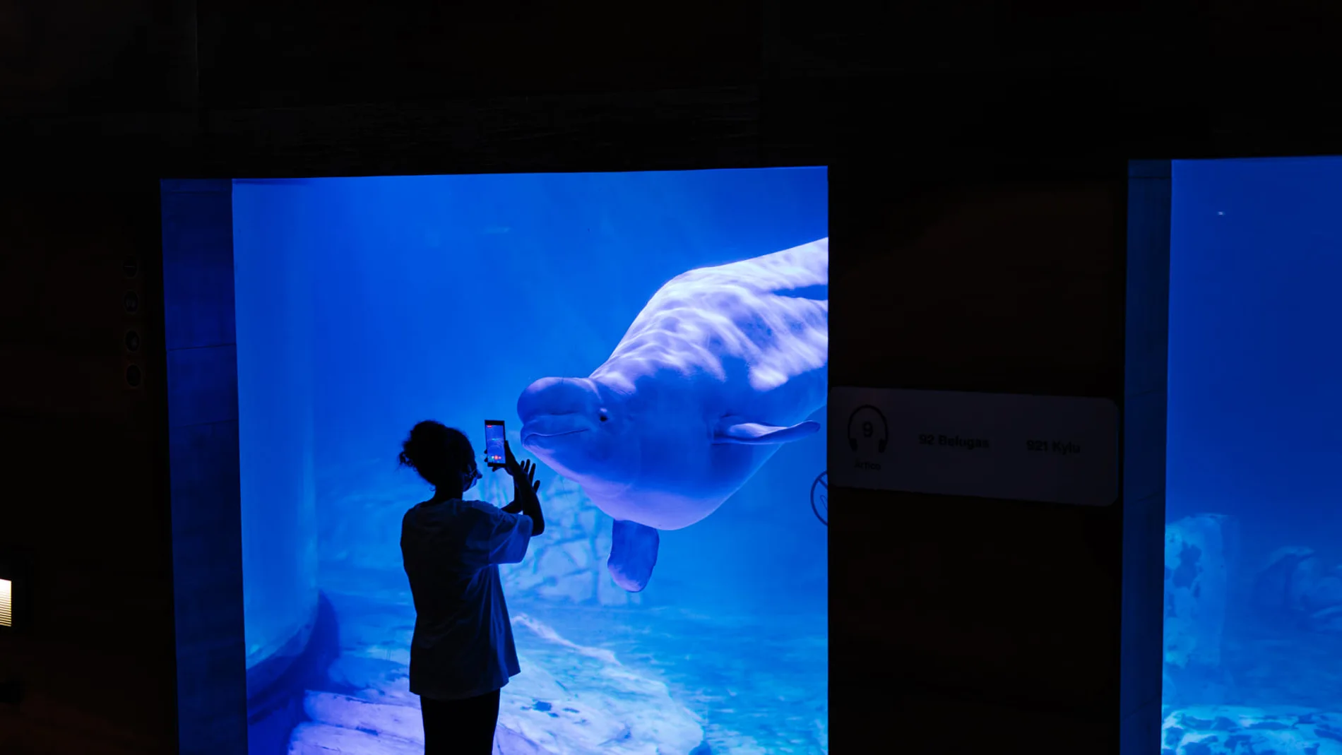 Imagen del Oceanográfico de Valencia