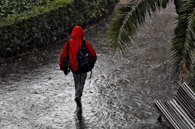 Una persona camina bajo una intensa lluvia este viernes en la ciudad de Valéncia