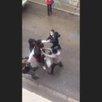 Forcejeo entre el agente y el joven