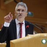 El ministro del Interior Fernando Grande Marlaska
